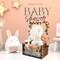 Baby Shower Crate Closet, Multifunctional Wooden & Acrylic Visible Baby Storage Crate with Handle, Newborn Welcome Gifts Basket